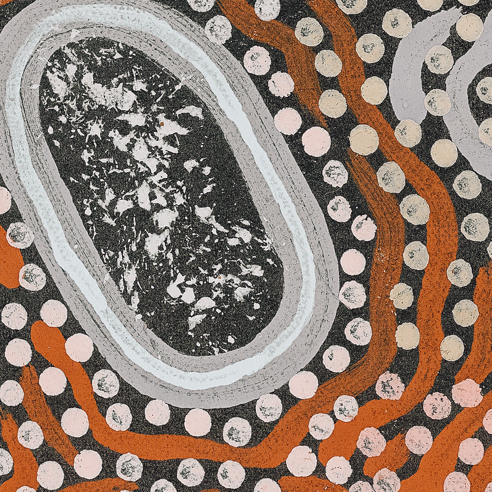 My Grandmother’s Country By Michelle Possum Nungurrayi Aboriginal Painting Print