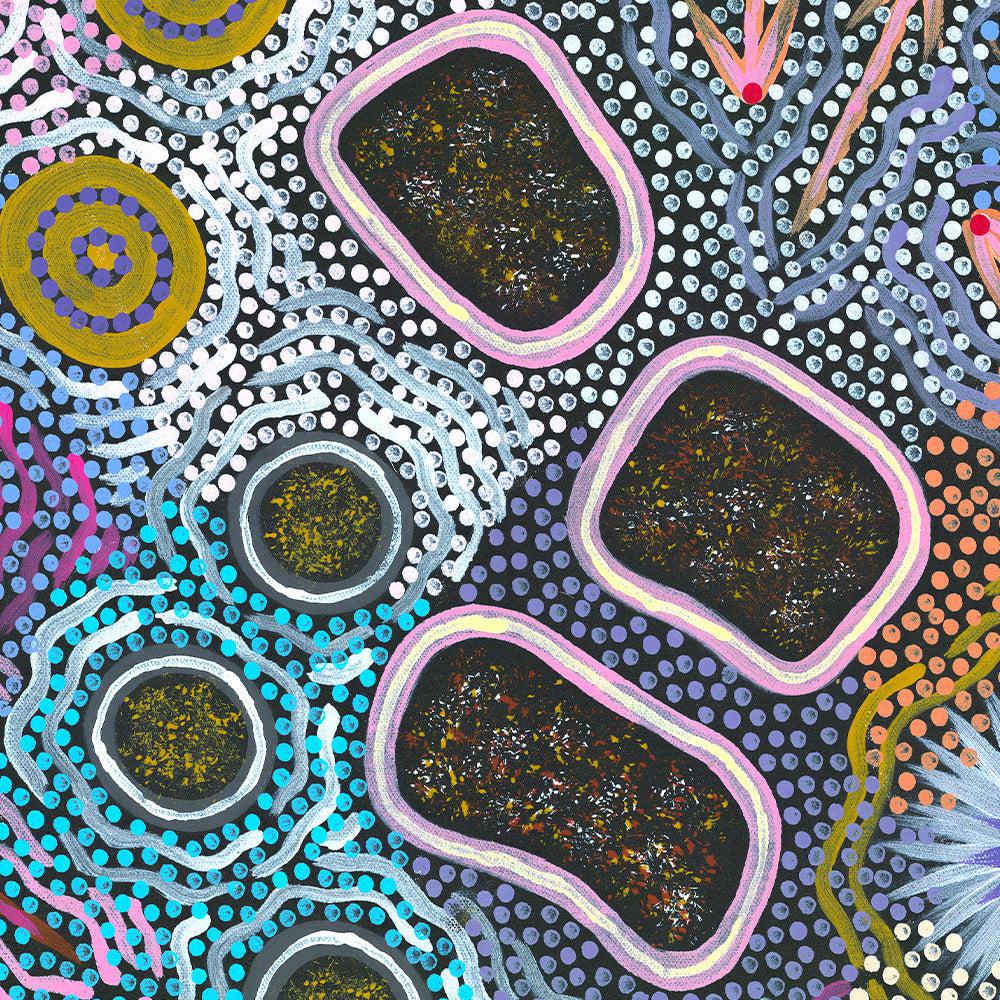 My Grandmother’s Country Style B By Michelle Possum Nungurrayi Aboriginal Painting Print