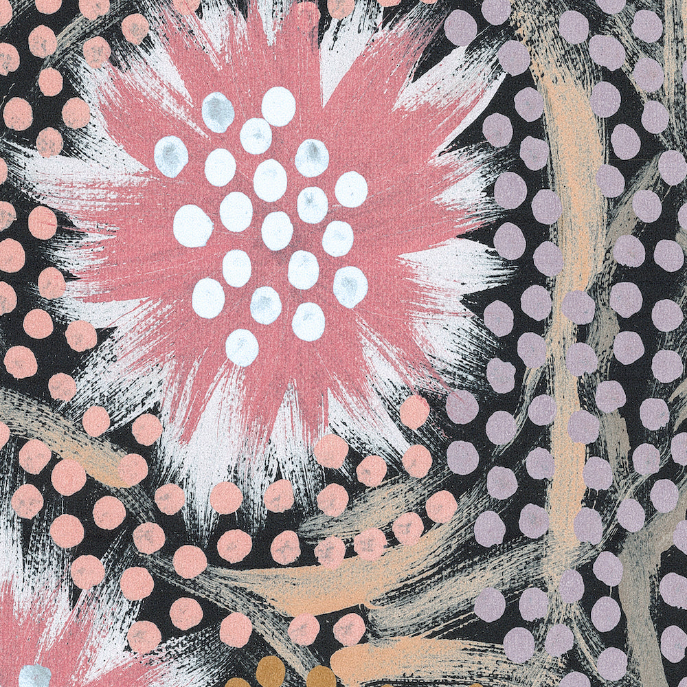 My Great Grandmothers Land Style B Pastel Colour By Azeza Possum Aboriginal Painting Print