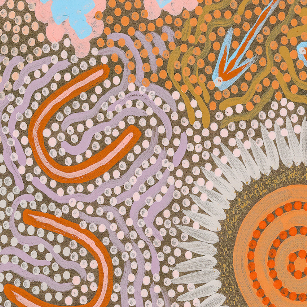 My Great Grandmothers Land Style D Pastel Colour By Azeza Possum Aboriginal Painting Print