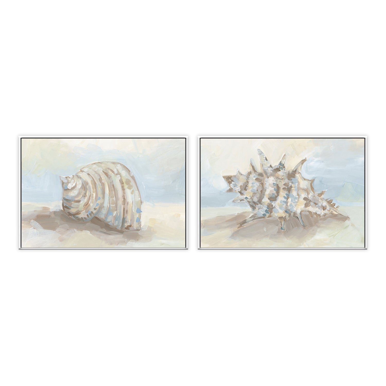 wall-art-print-canvas-poster-framed-Neutral Coastal Seashell , Style A & B, Set Of 2 , By Jetty Home-5