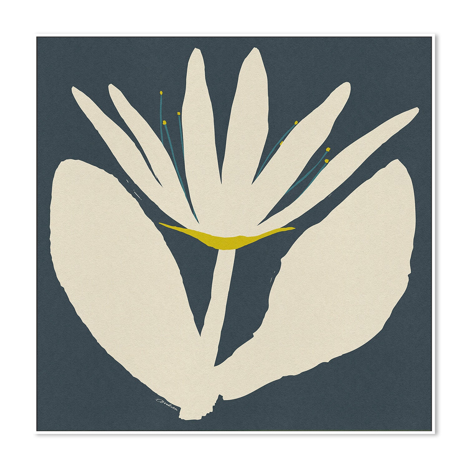wall-art-print-canvas-poster-framed-Open Cream Flower On Blue-5
