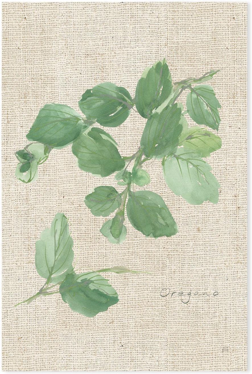 wall-art-print-canvas-poster-framed-Oregano , By Chris Paschke-GIOIA-WALL-ART
