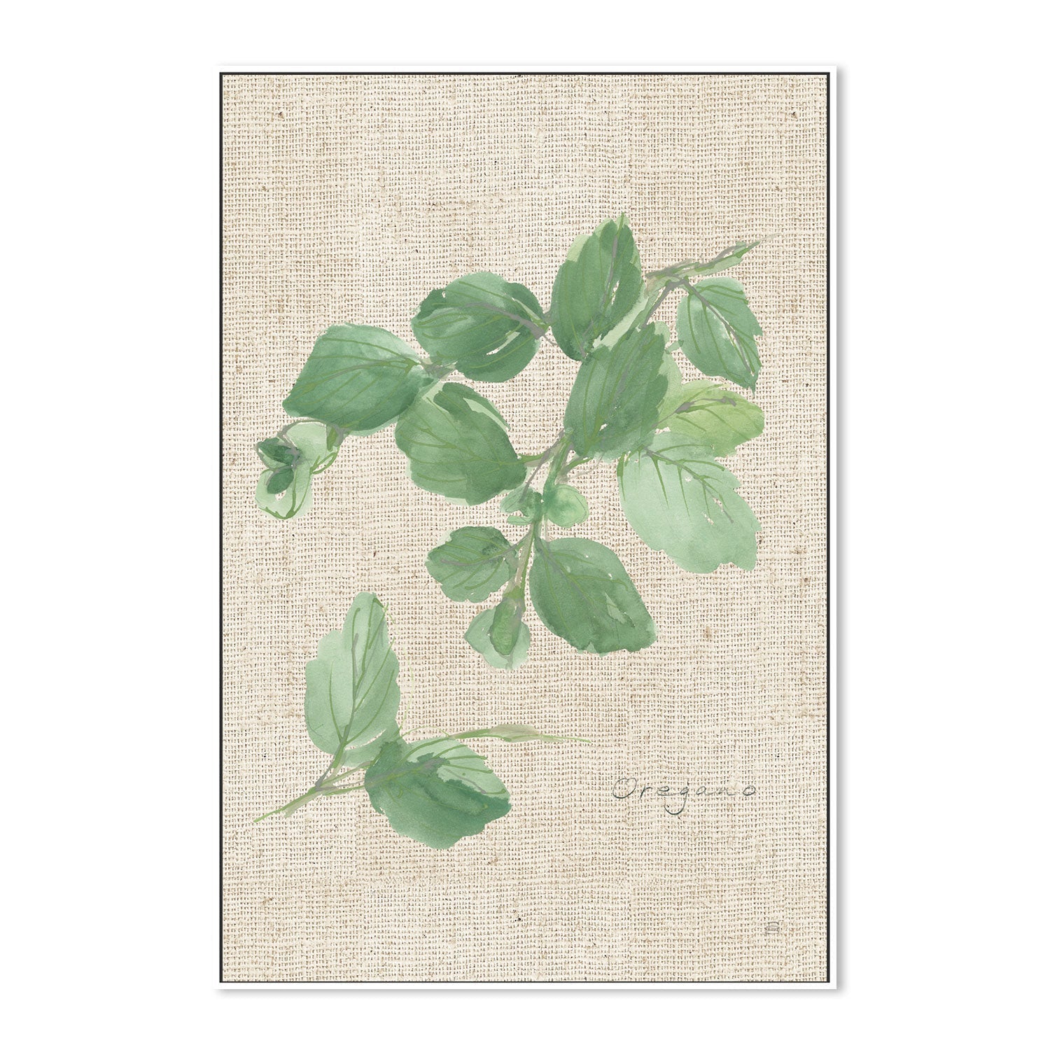 wall-art-print-canvas-poster-framed-Oregano , By Chris Paschke-GIOIA-WALL-ART