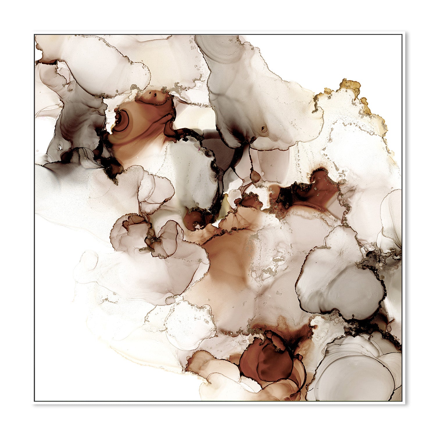 wall-art-print-canvas-poster-framed-Organic Curves 20-5