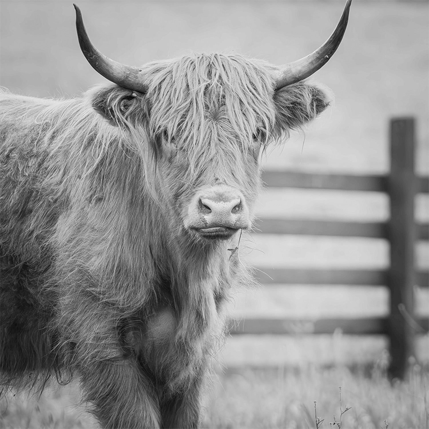 wall-art-print-canvas-poster-framed-Pablo Picowsso-1