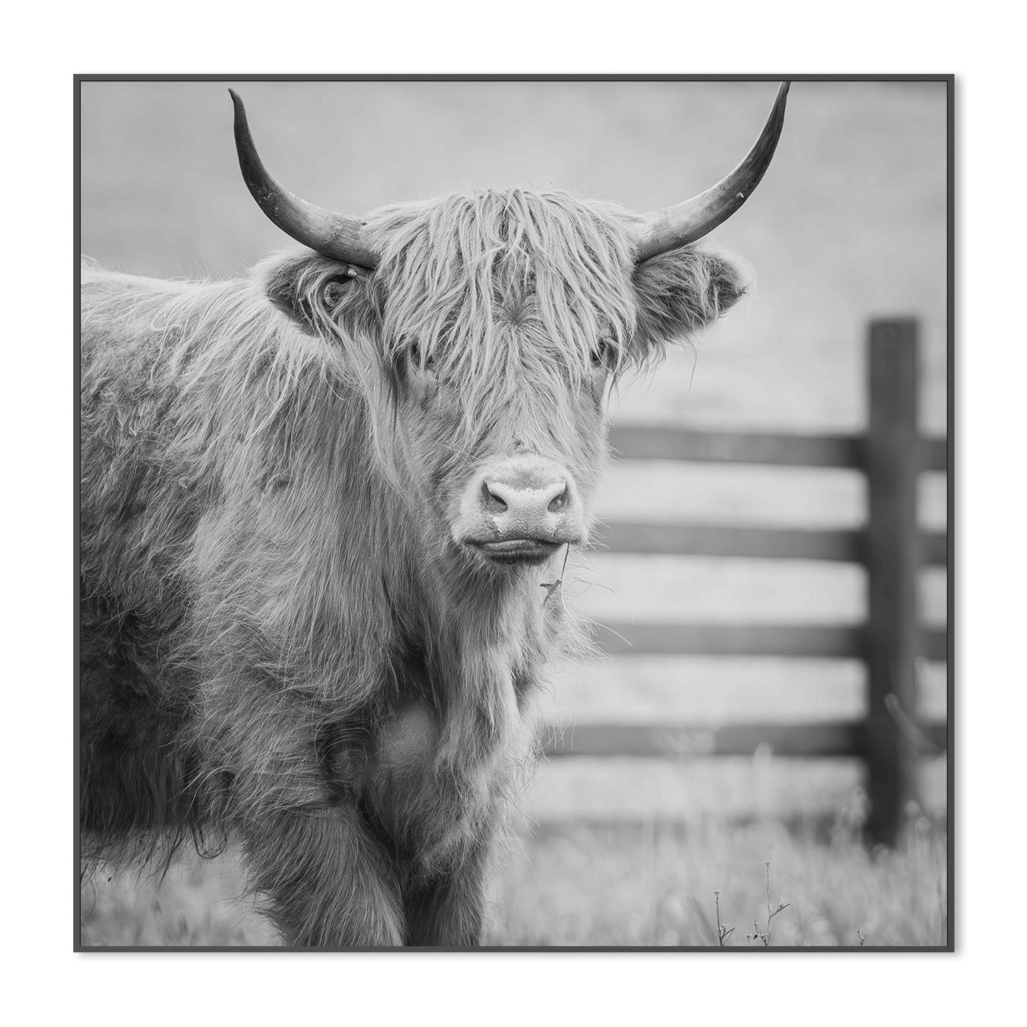 wall-art-print-canvas-poster-framed-Pablo Picowsso-3