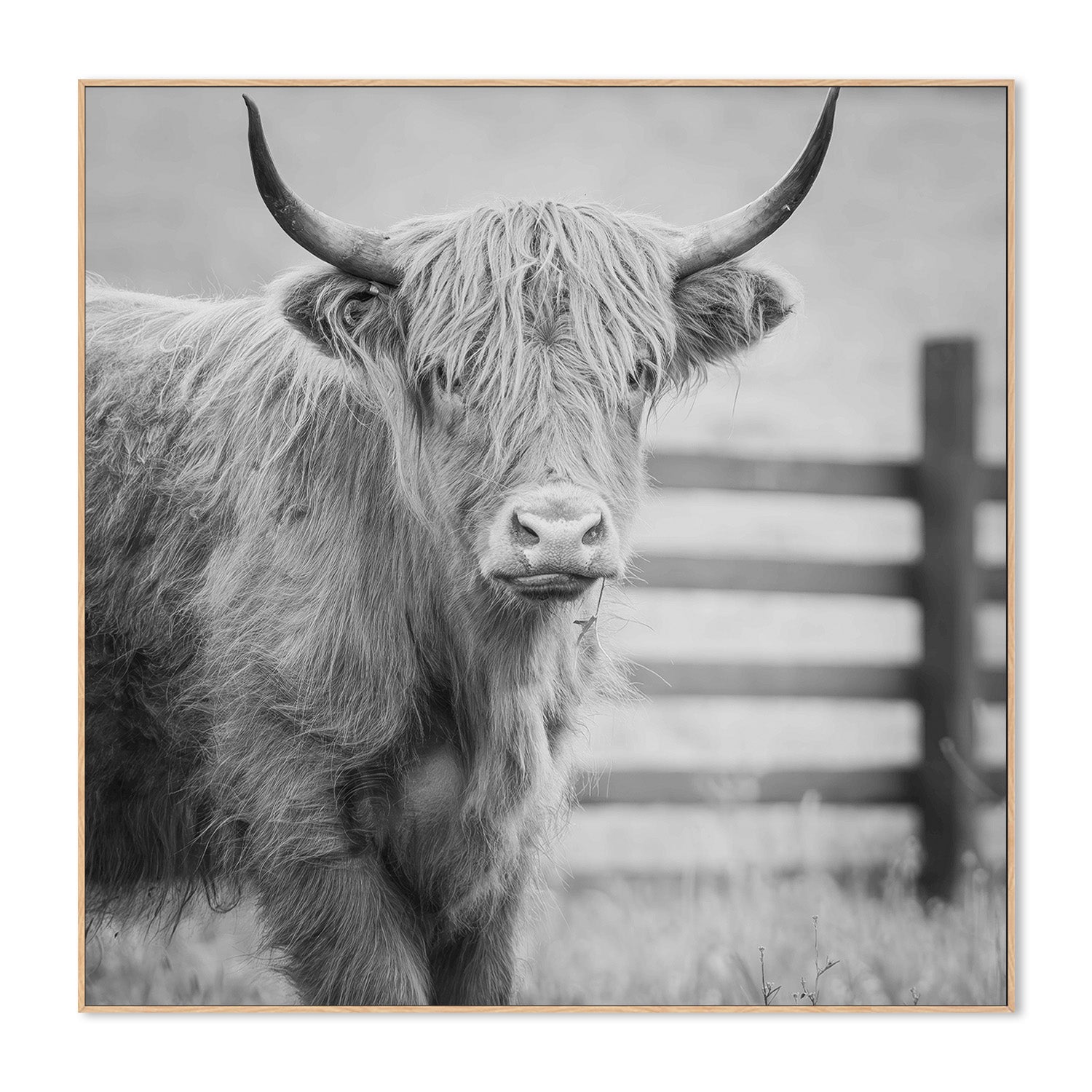 wall-art-print-canvas-poster-framed-Pablo Picowsso-4