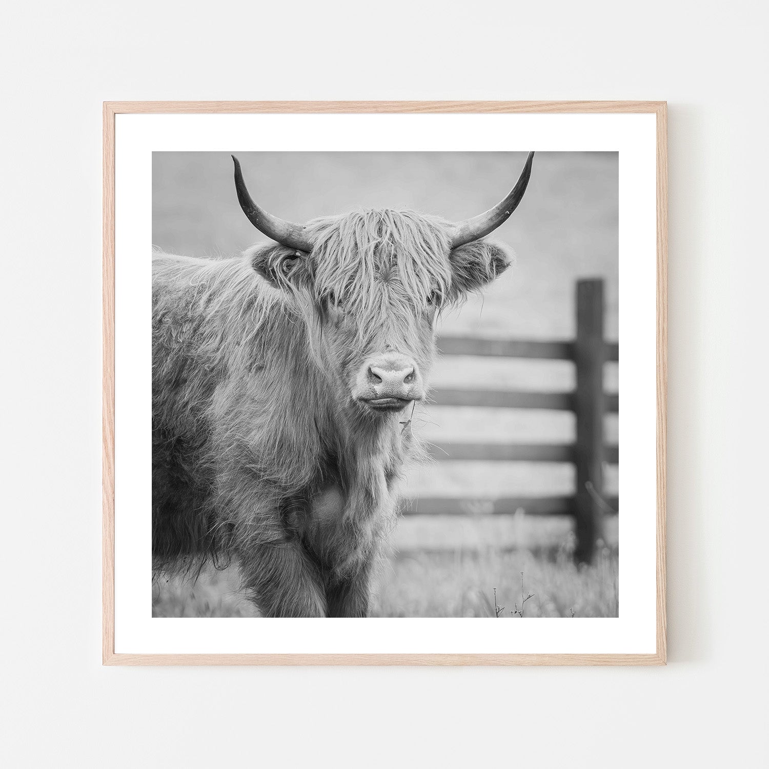 wall-art-print-canvas-poster-framed-Pablo Picowsso-6