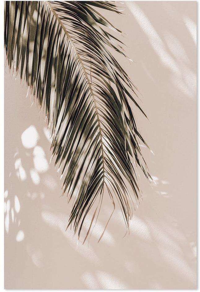 wall-art-print-canvas-poster-framed-Palm Leaf Shadows-by-Gioia Wall Art-Gioia Wall Art