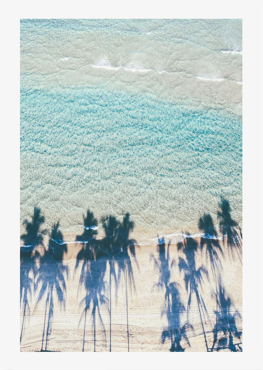 Palms Are Us