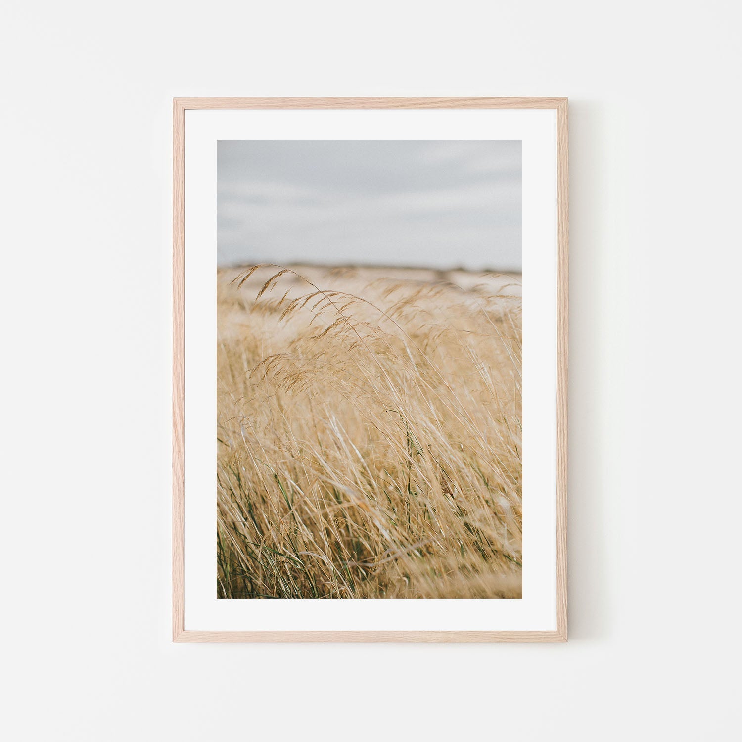 wall-art-print-canvas-poster-framed-Pampas Grass, Style A , By Hello Twiggs-6