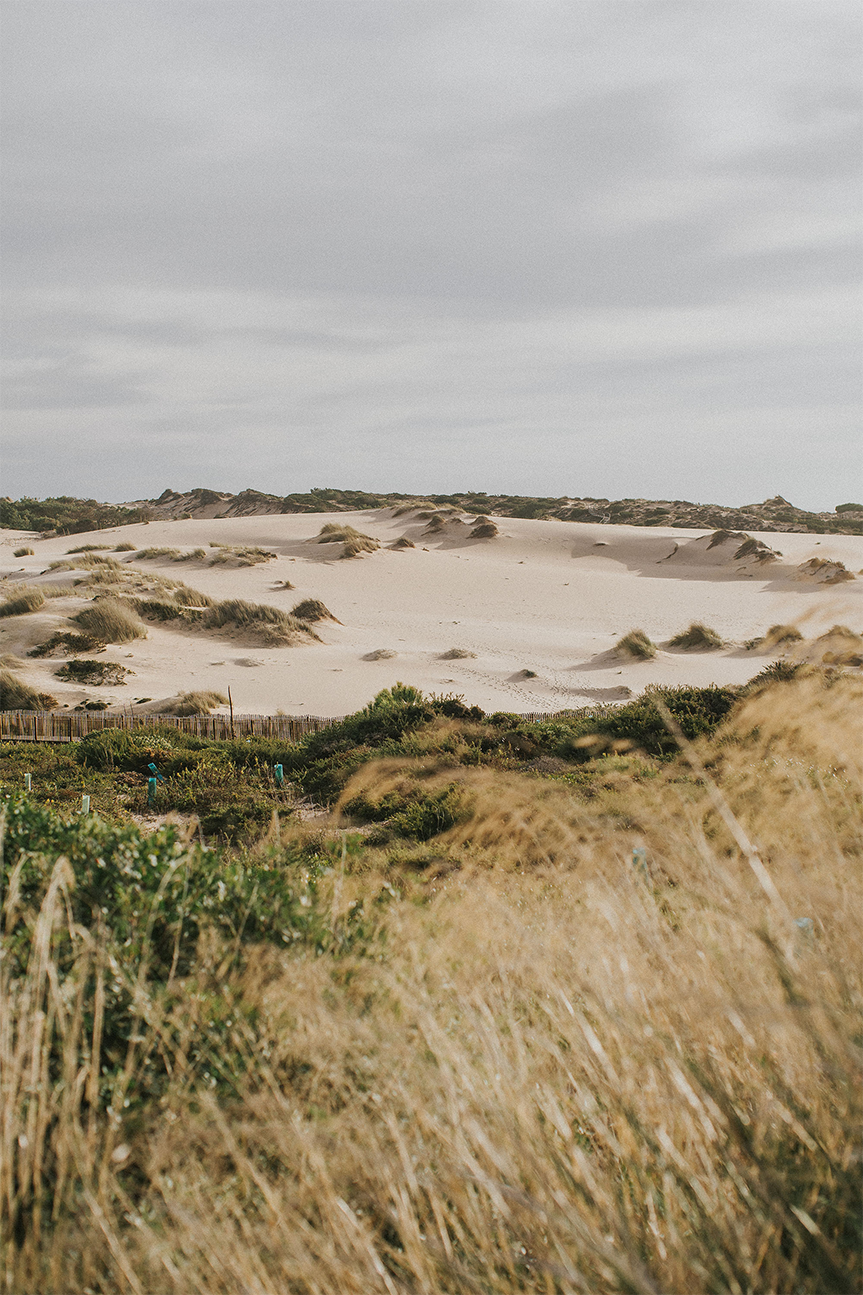 wall-art-print-canvas-poster-framed-Pampas Grass, Style B , By Hello Twiggs-1