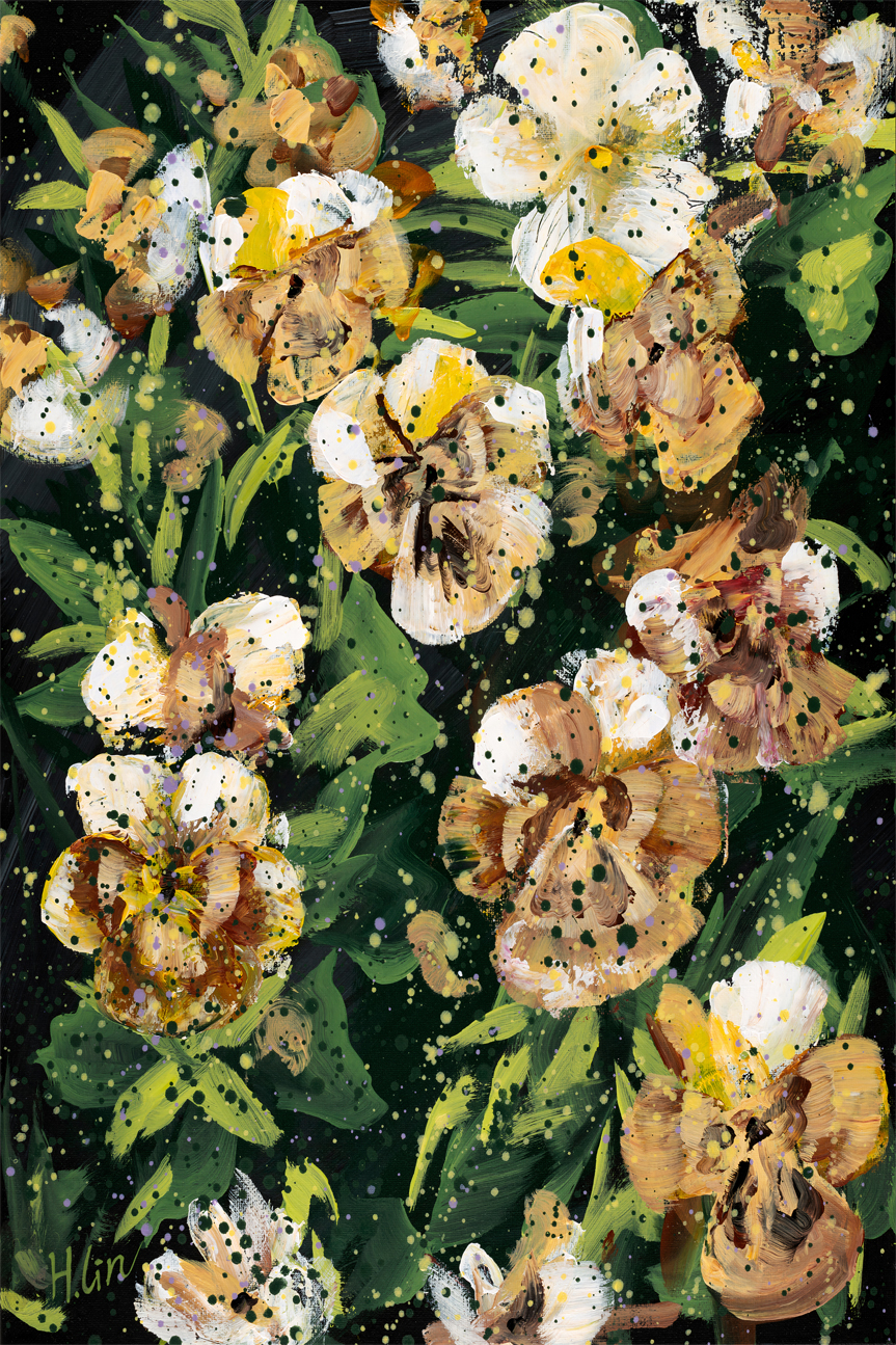 wall-art-print-canvas-poster-framed-Pansies Violas Orange and white , By Hsin Lin-GIOIA-WALL-ART