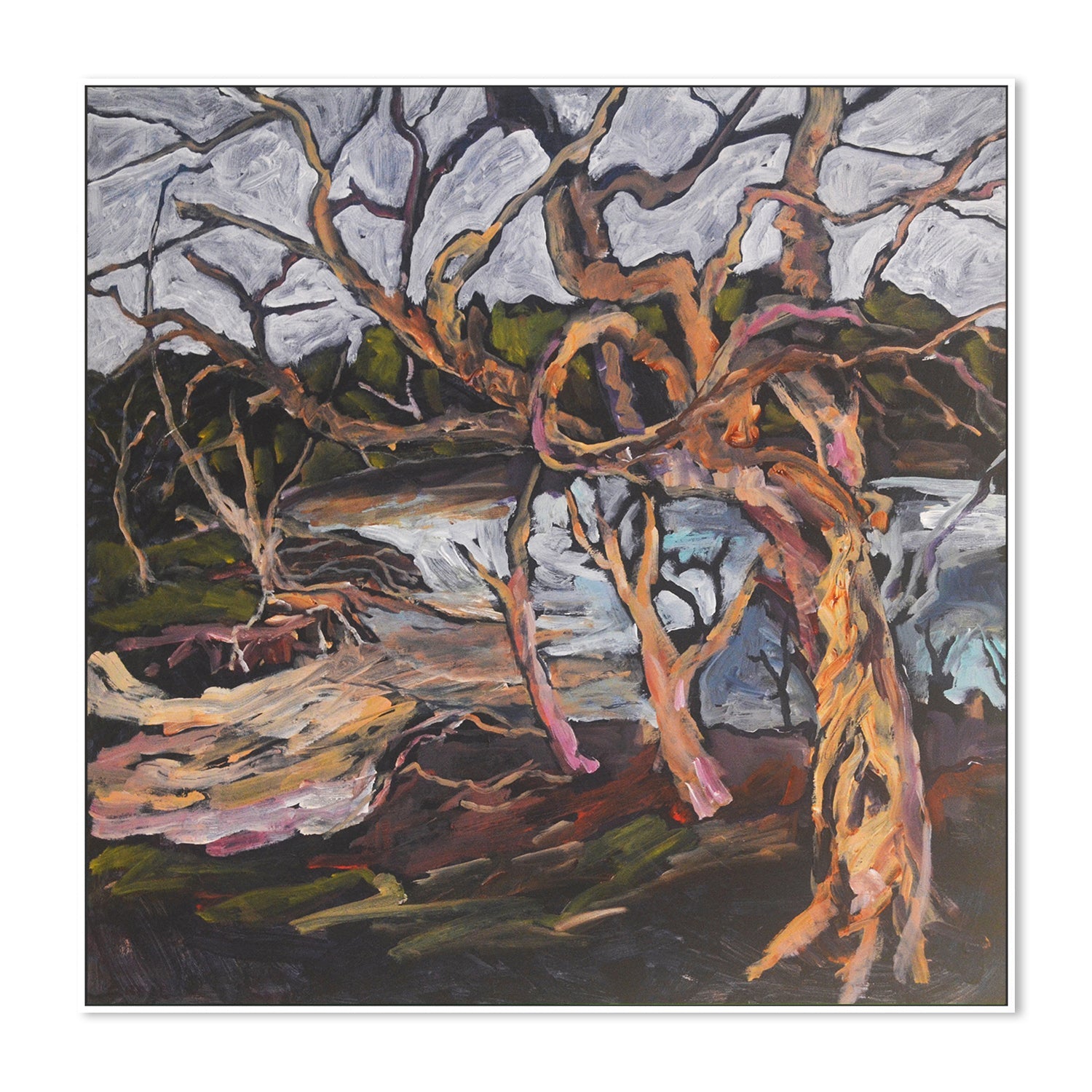wall-art-print-canvas-poster-framed-Paperbarks At The Lake , By Christine Read-5