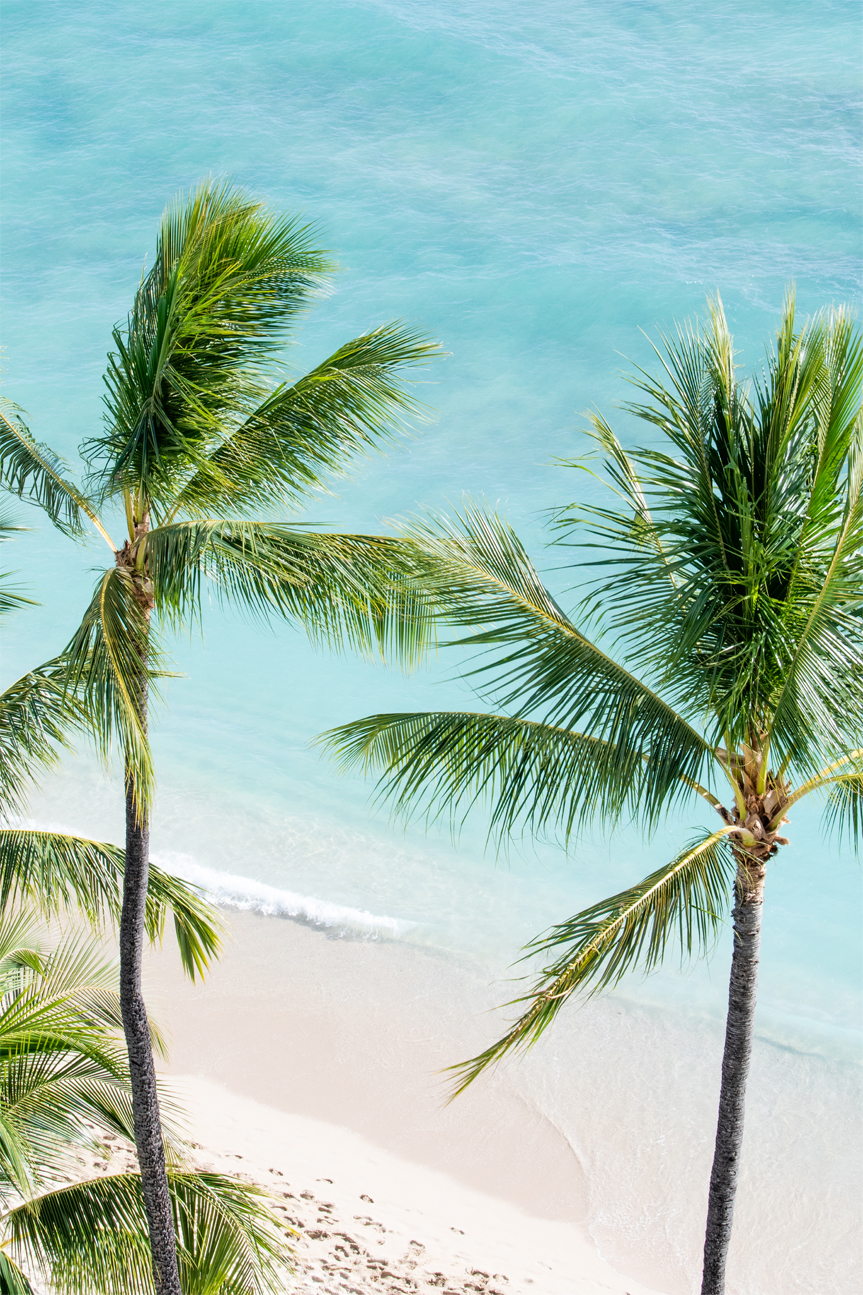wall-art-print-canvas-poster-framed-Paradise Found , By Richard Podgurski-1