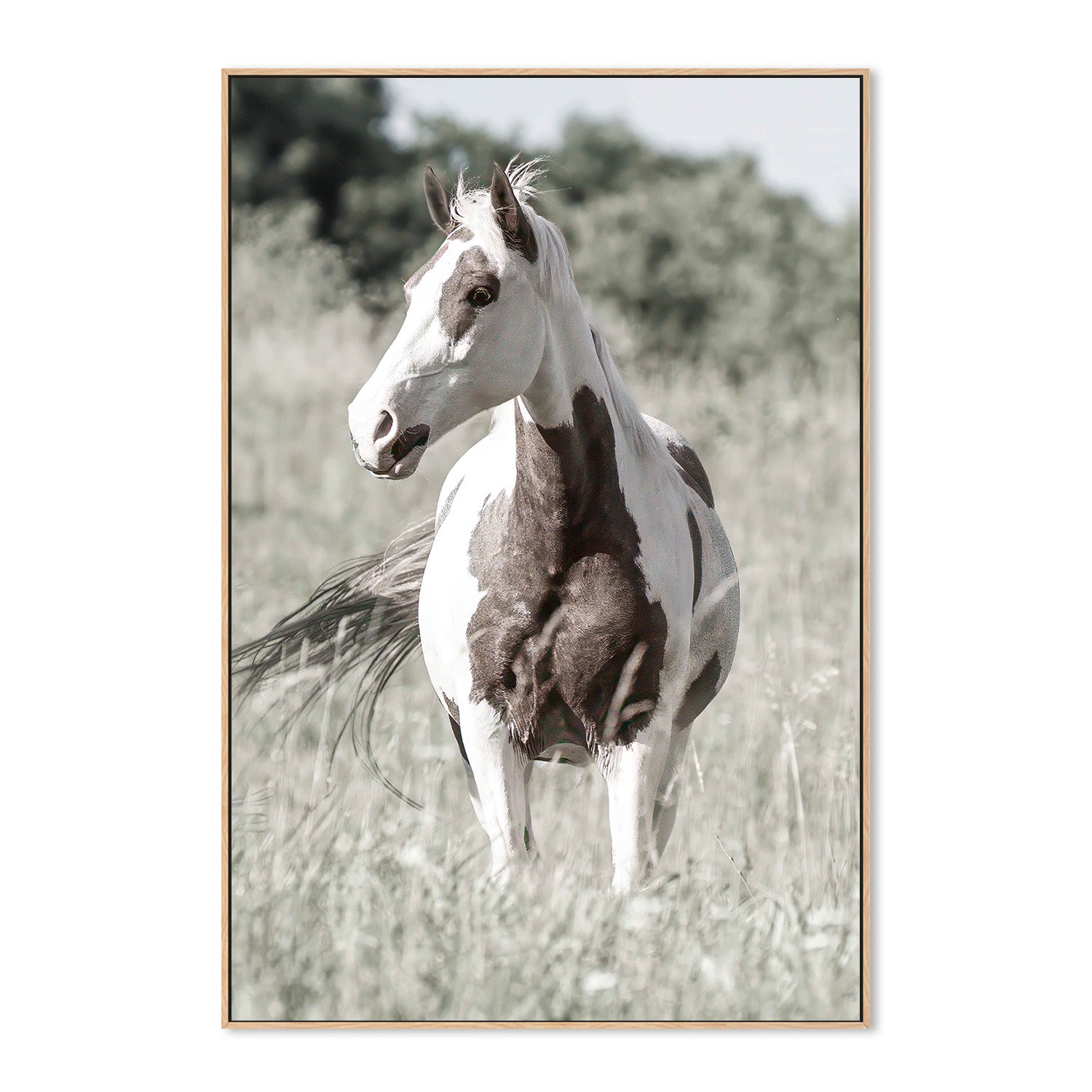 wall-art-print-canvas-poster-framed-Pasture Grace-4
