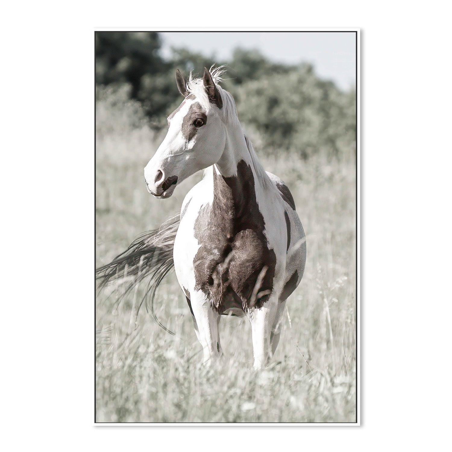 wall-art-print-canvas-poster-framed-Pasture Grace-5