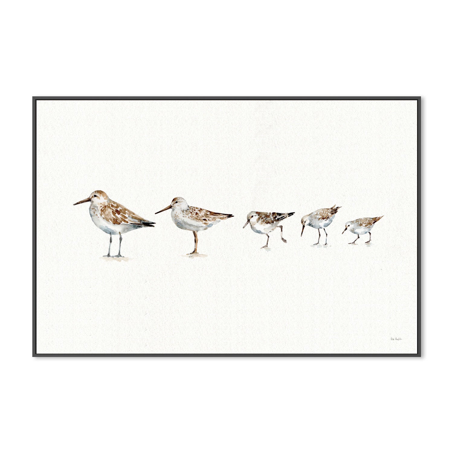 wall-art-print-canvas-poster-framed-Pebbles And Sandpipers , By Lisa Audit-GIOIA-WALL-ART