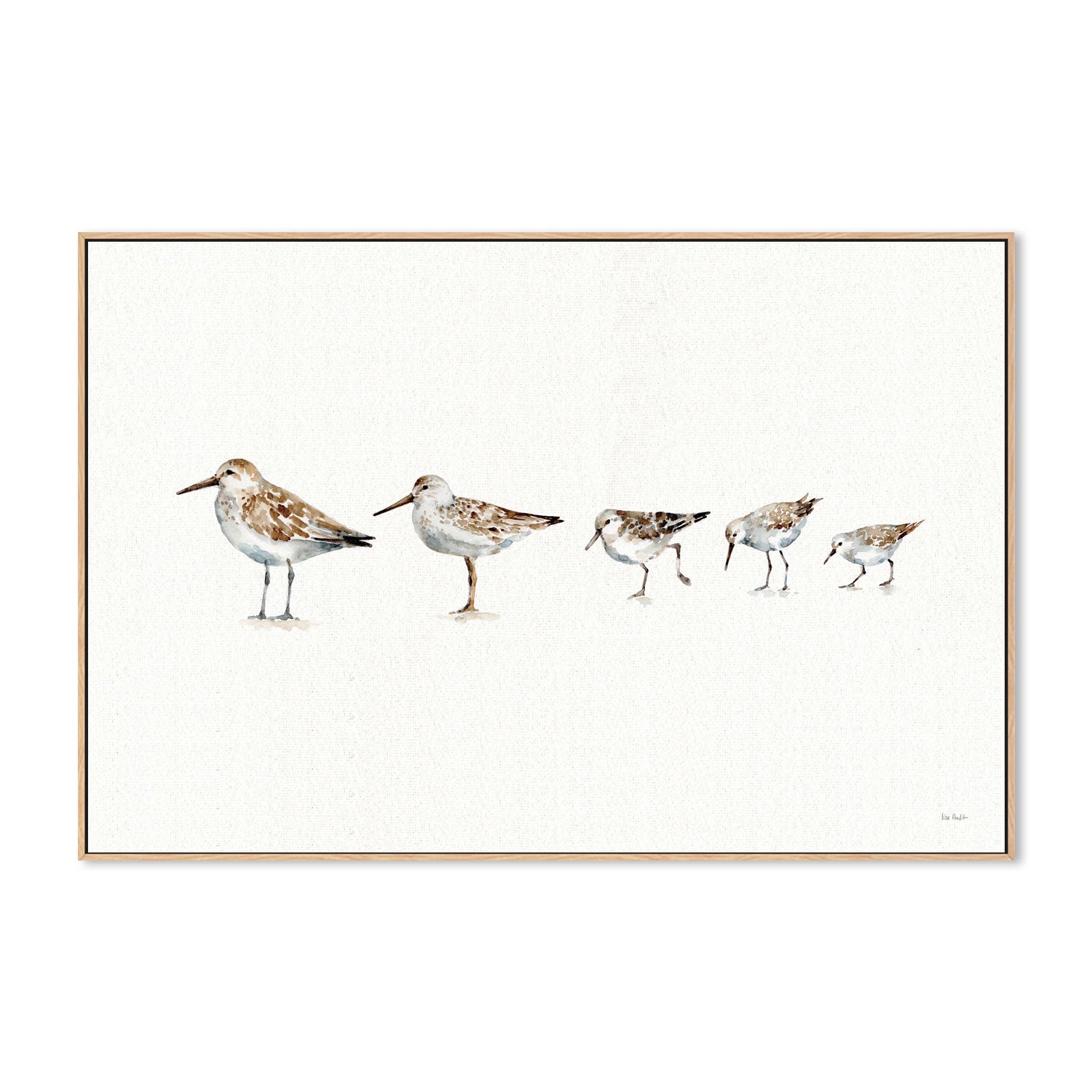 wall-art-print-canvas-poster-framed-Pebbles And Sandpipers , By Lisa Audit-GIOIA-WALL-ART
