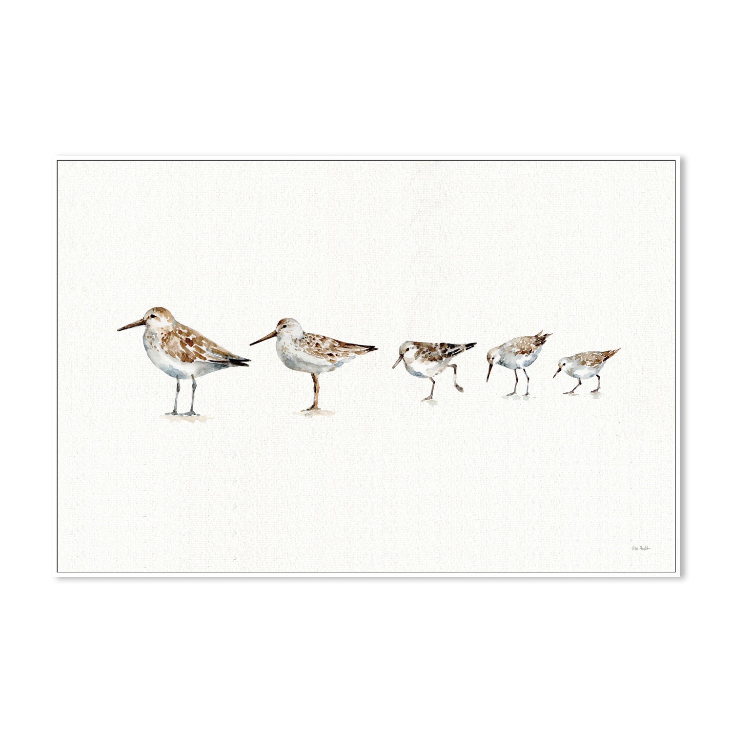 wall-art-print-canvas-poster-framed-Pebbles And Sandpipers , By Lisa Audit-GIOIA-WALL-ART