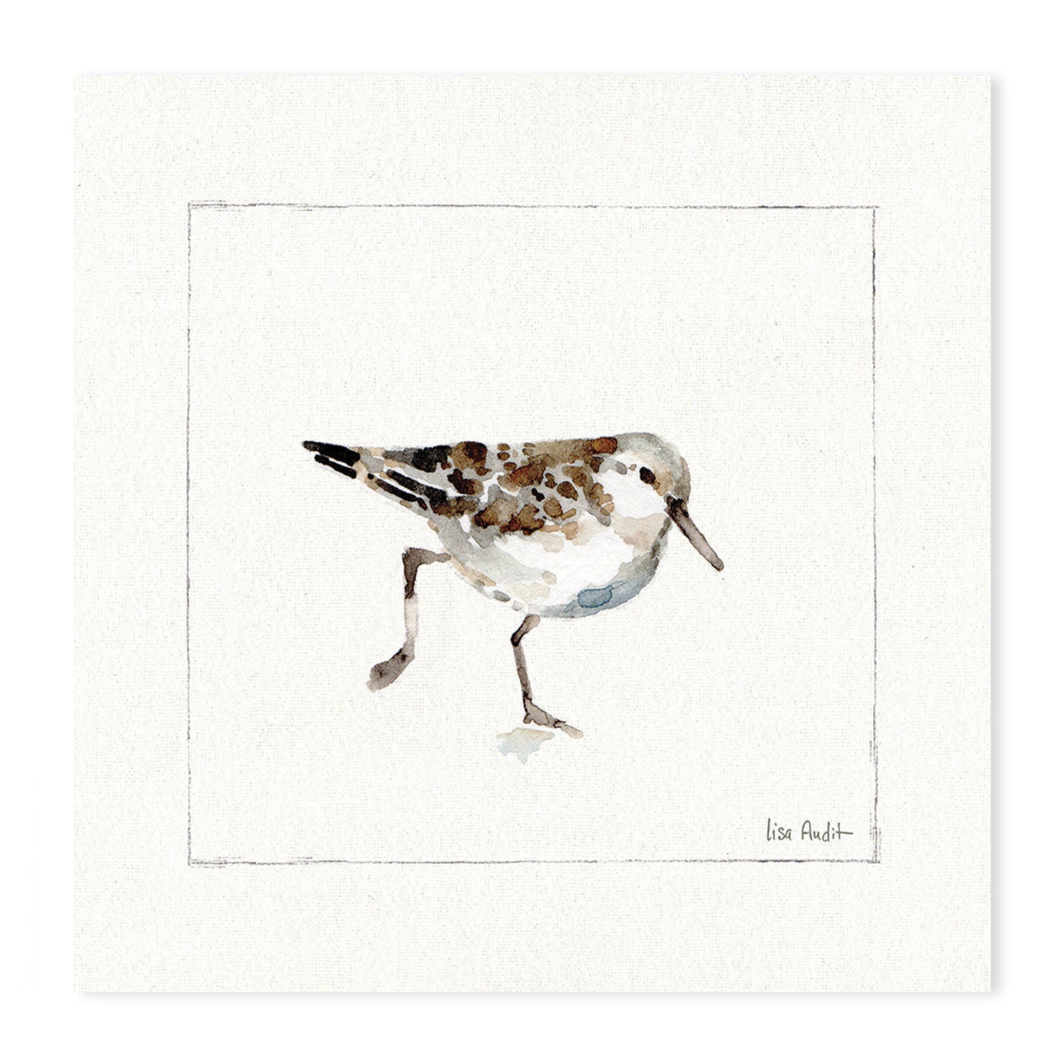 wall-art-print-canvas-poster-framed-Pebbles And Sandpipers, Style A & B, Set Of 2 , By Lisa Audit-GIOIA-WALL-ART