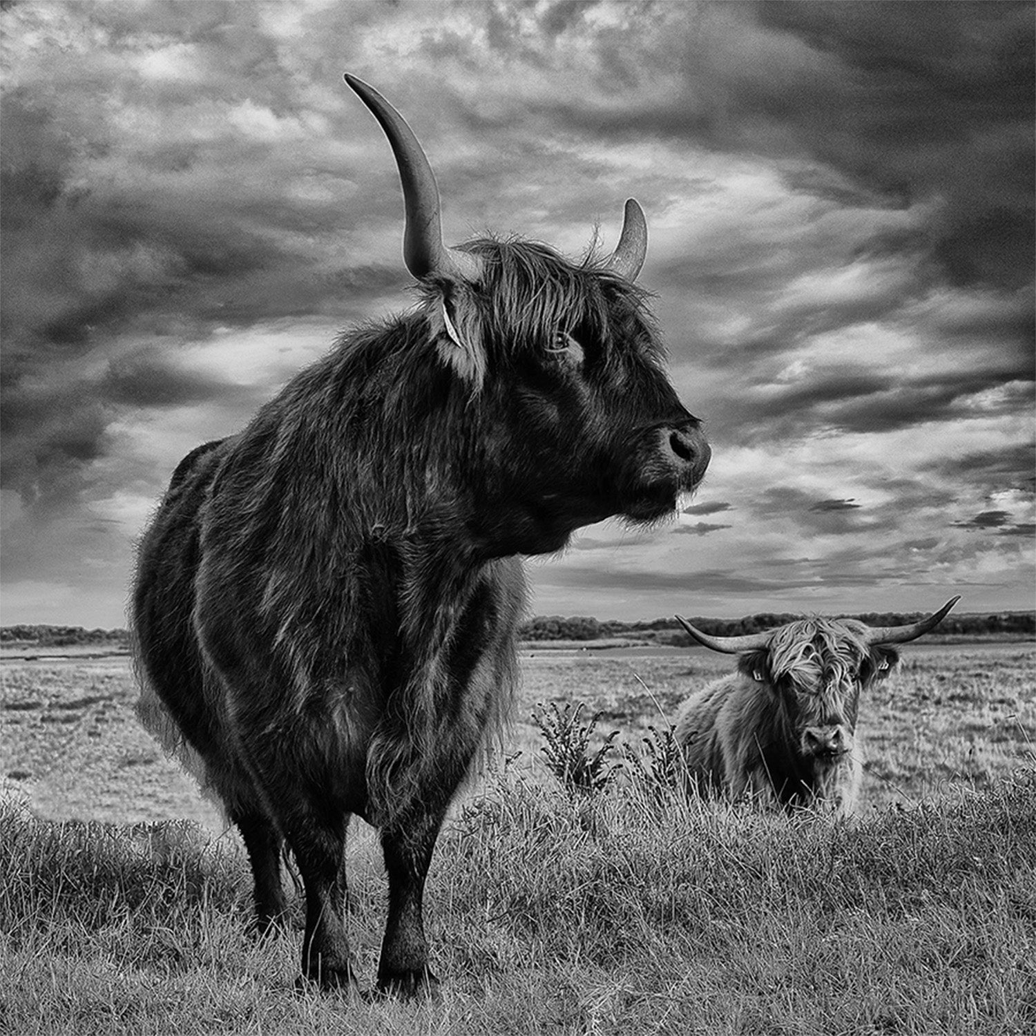 wall-art-print-canvas-poster-framed-Pecqueux, Highlands-1