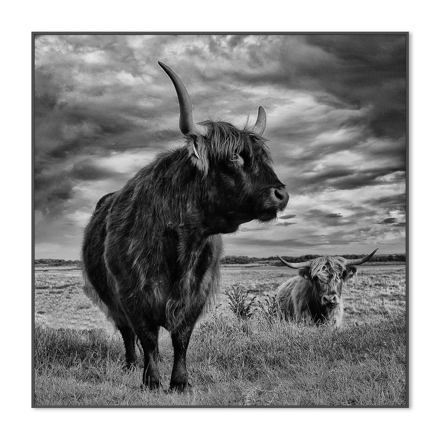 wall-art-print-canvas-poster-framed-Pecqueux, Highlands-3