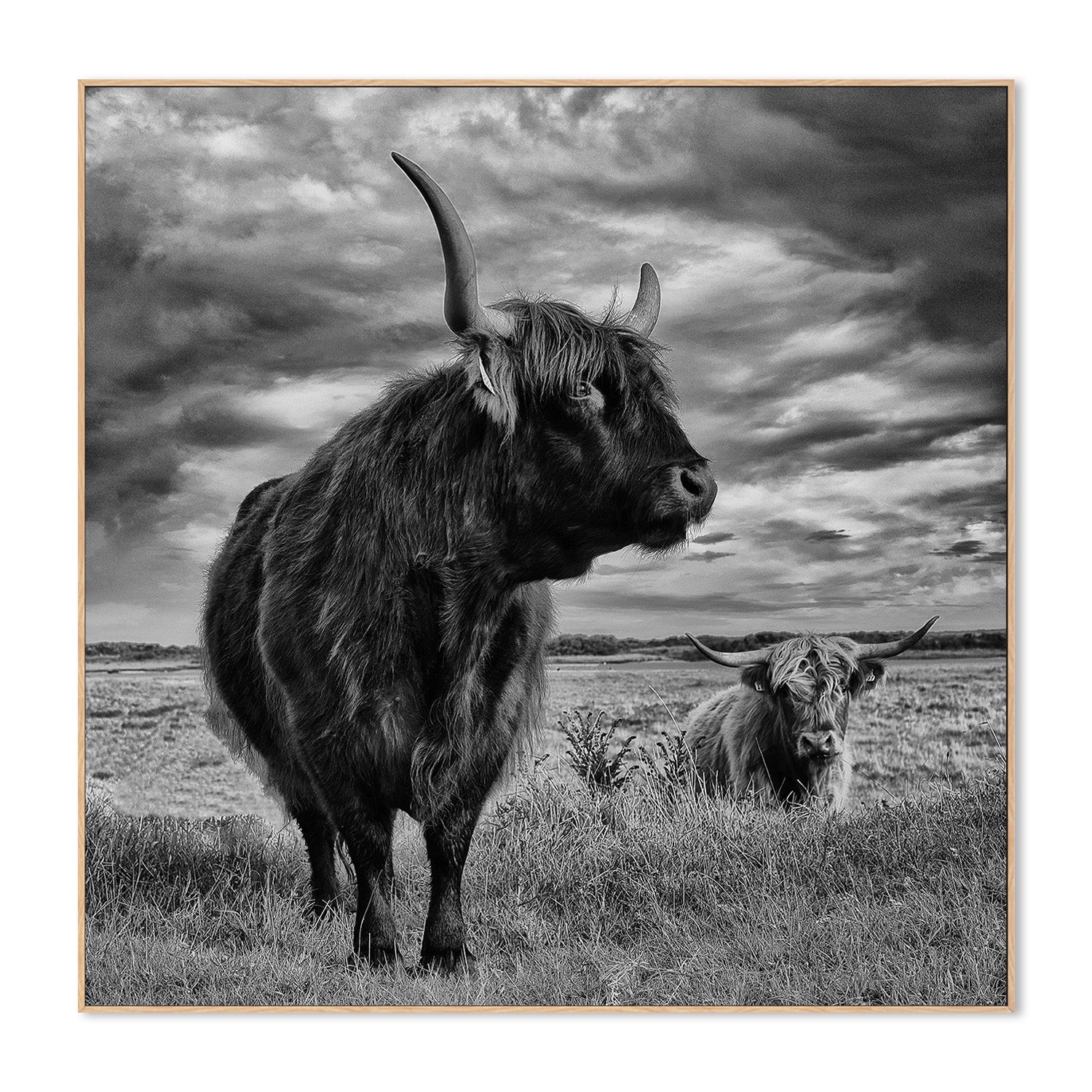 wall-art-print-canvas-poster-framed-Pecqueux, Highlands-4
