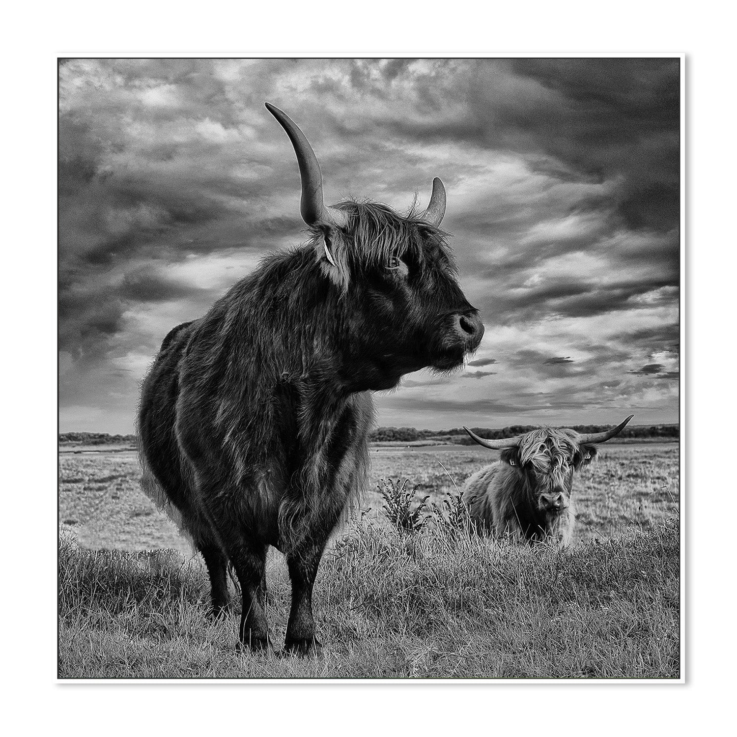 wall-art-print-canvas-poster-framed-Pecqueux, Highlands-5