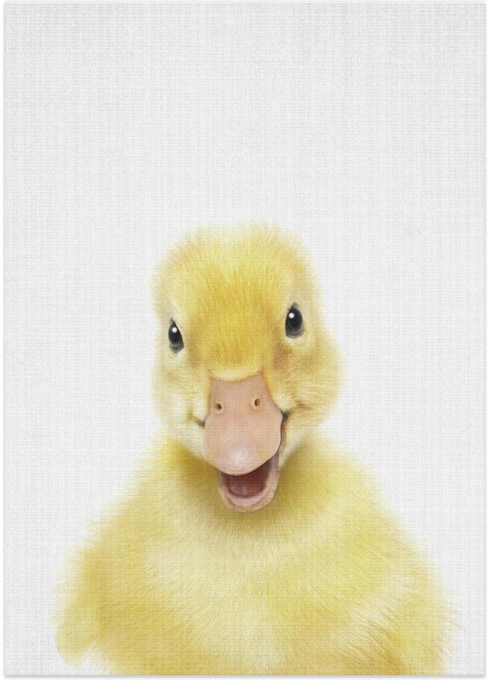 wall-art-print-canvas-poster-framed-Peekaboo Baby Duck , By Lola Peacock-1