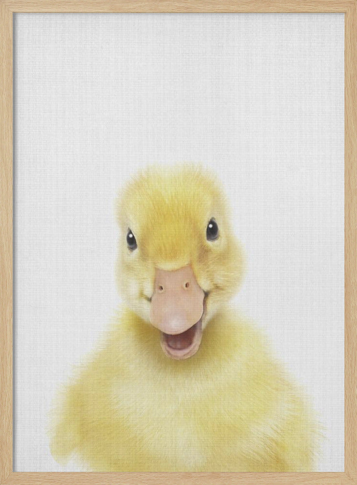 wall-art-print-canvas-poster-framed-Peekaboo Baby Duck , By Lola Peacock-4