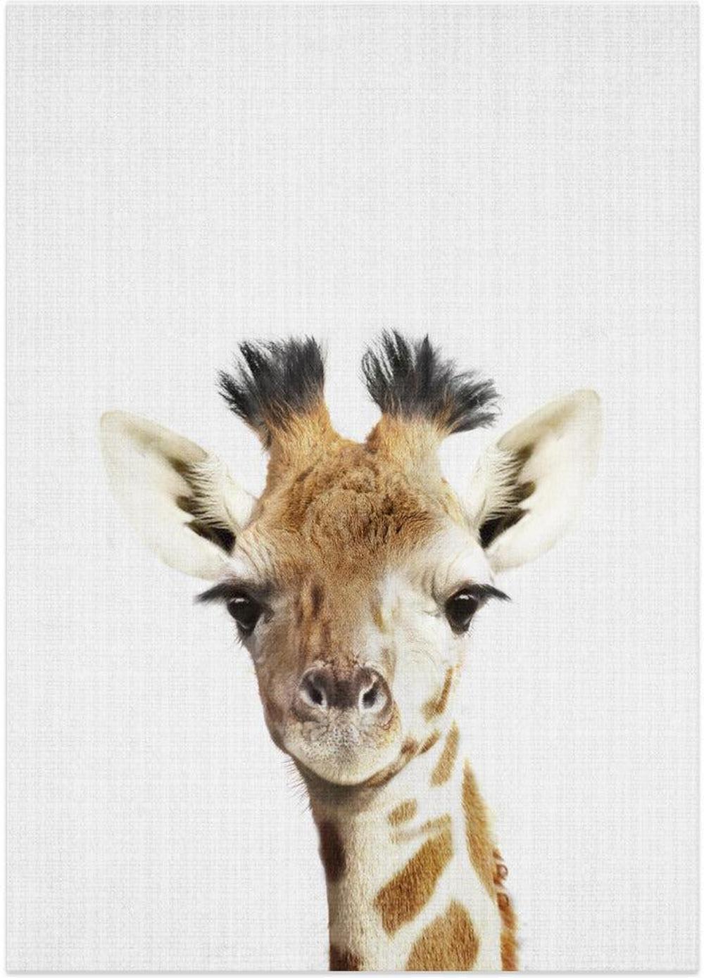 wall-art-print-canvas-poster-framed-Peekaboo Giraffe , By Lola Peacock-1
