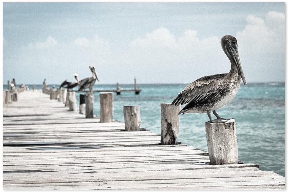 wall-art-print-canvas-poster-framed-Pelican At The Pier , Sea Ocean And Beach Print-by-Gioia Wall Art-Gioia Wall Art