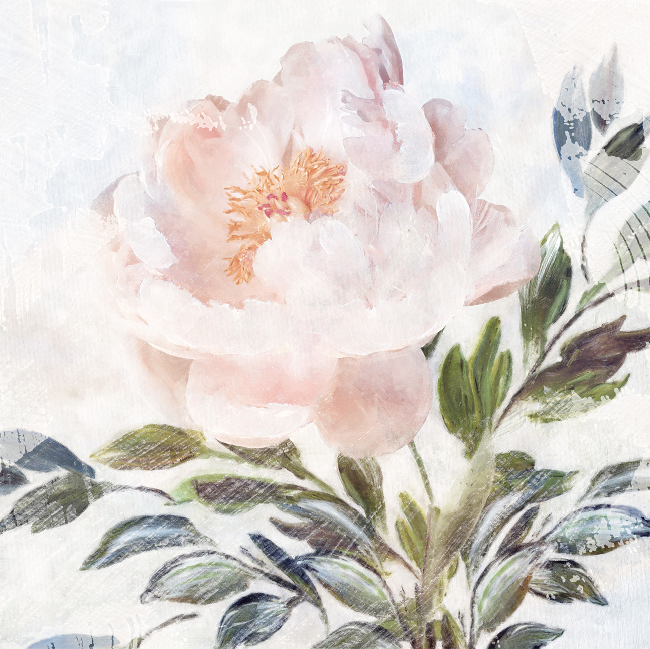 wall-art-print-canvas-poster-framed-Peony Melody, Style A , By Nina Blue-1