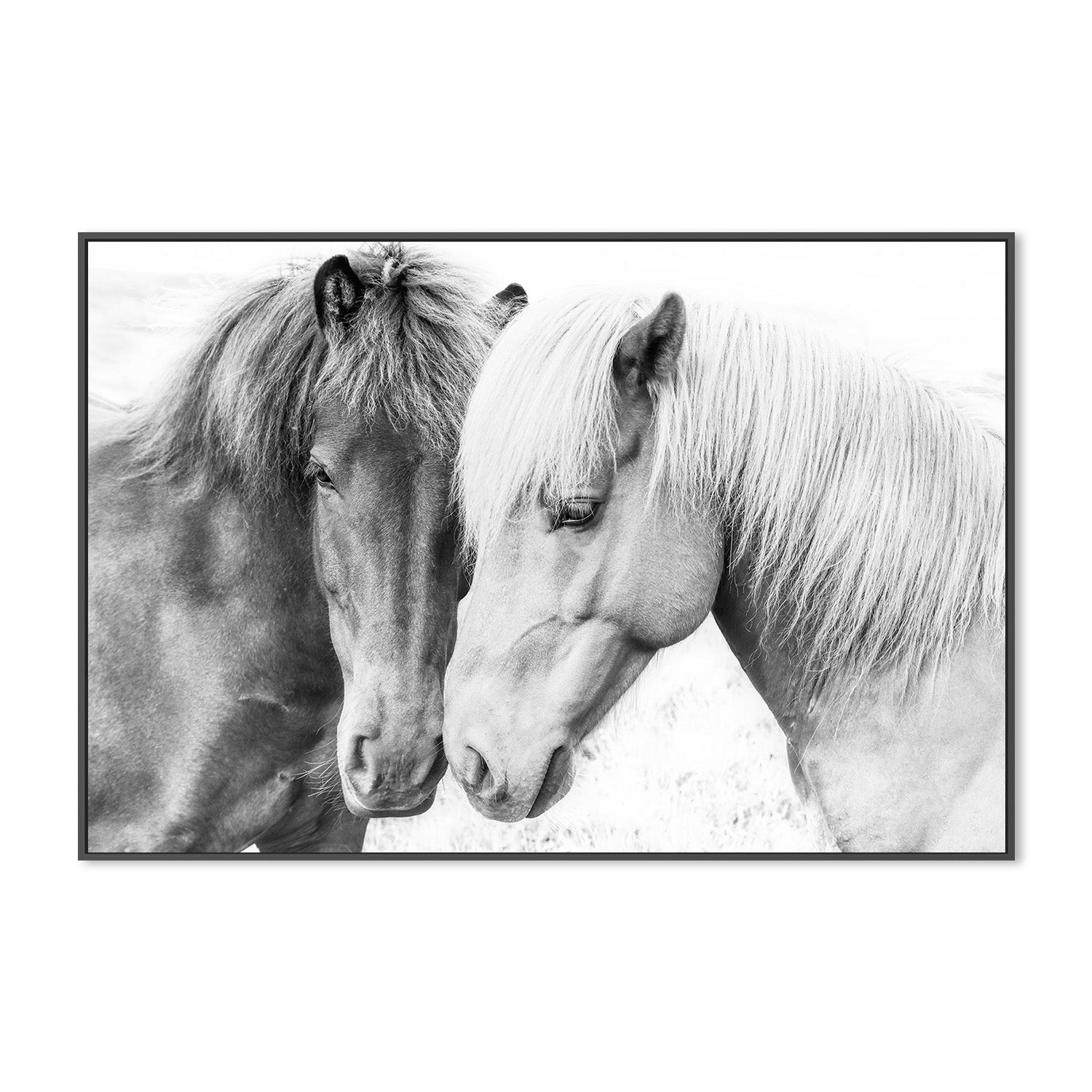 wall-art-print-canvas-poster-framed-Pienaar, Horse Love-3