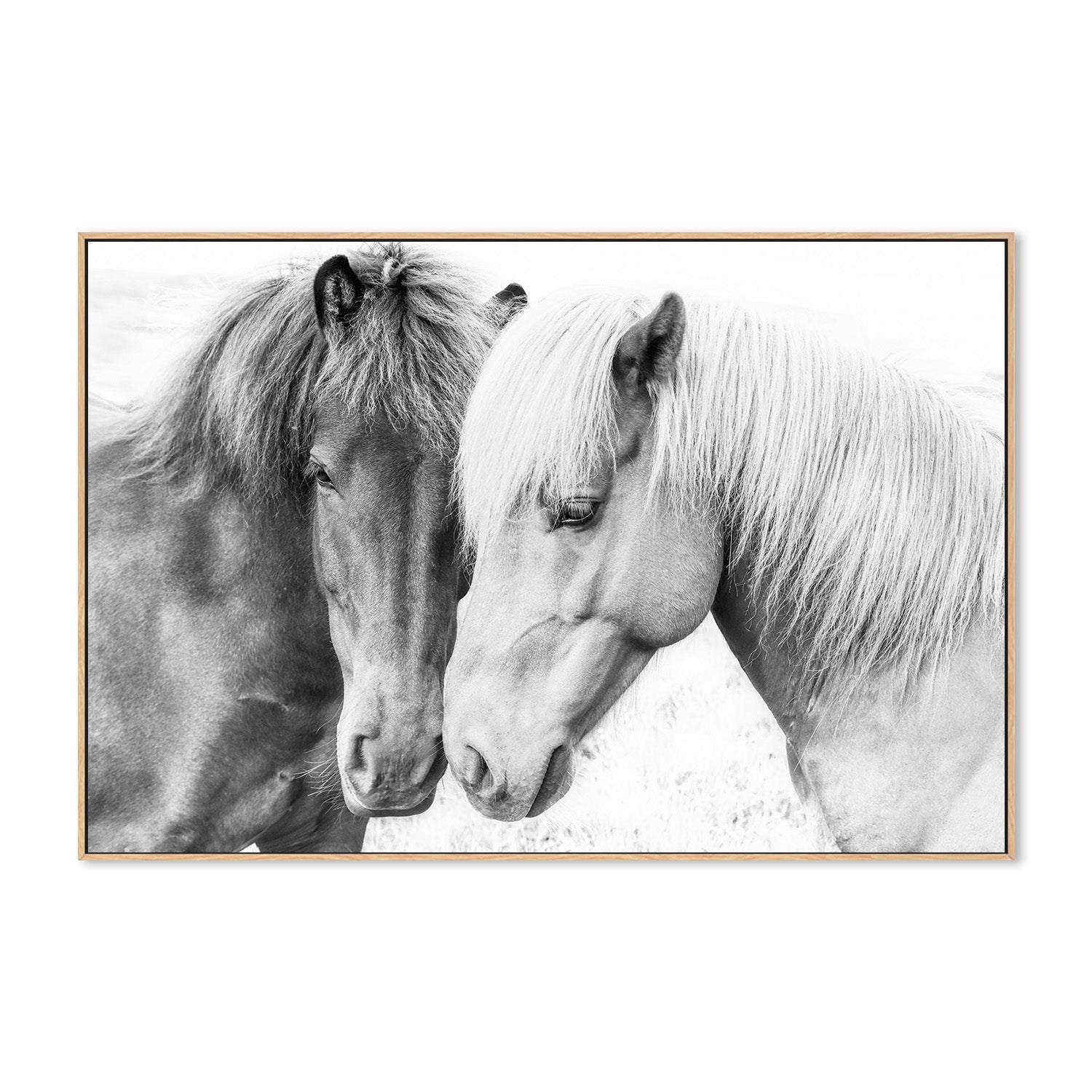 wall-art-print-canvas-poster-framed-Pienaar, Horse Love-4