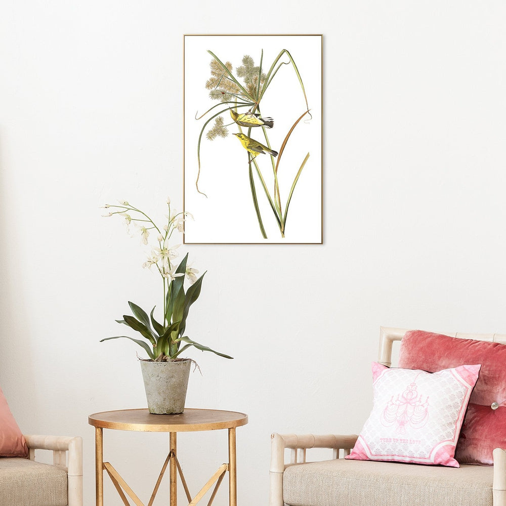 wall-art-print-canvas-poster-framed-Prairie Warbler, By John James Audubon-by-Gioia Wall Art-Gioia Wall Art