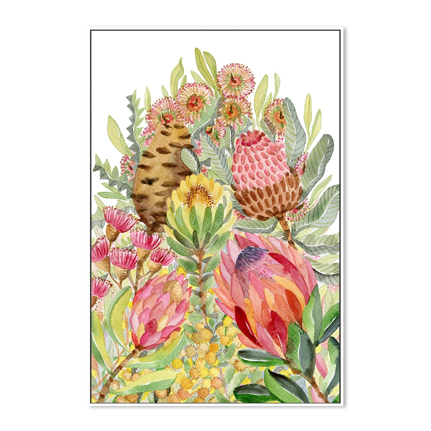 wall-art-print-canvas-poster-framed-Protea Banksia Bunch , By Jessie Mitchelson-5