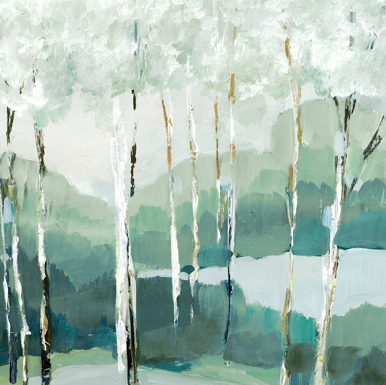 wall-art-print-canvas-poster-framed-Quiet Birch Forest , By Leda Robertson-1