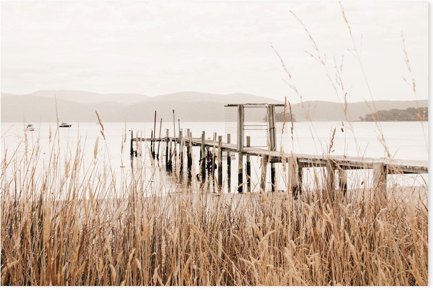 wall-art-print-canvas-poster-framed-Reeds, Port Arthur, Tasmania , By Earth Sea & Me , By Earth Sea & Me-GIOIA-WALL-ART