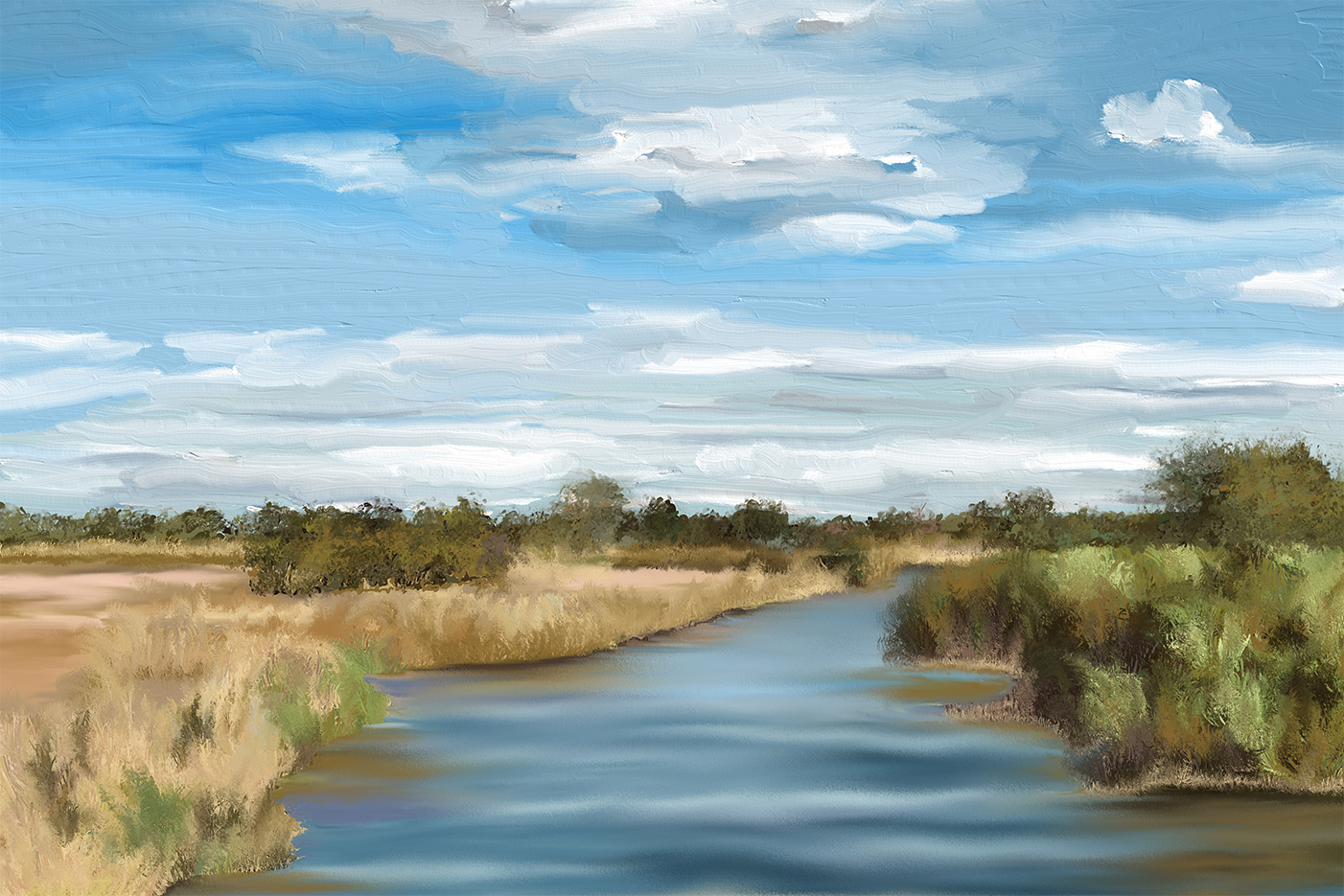 wall-art-print-canvas-poster-framed-River of Reeds, Botswana , By Jenna Alheit-1