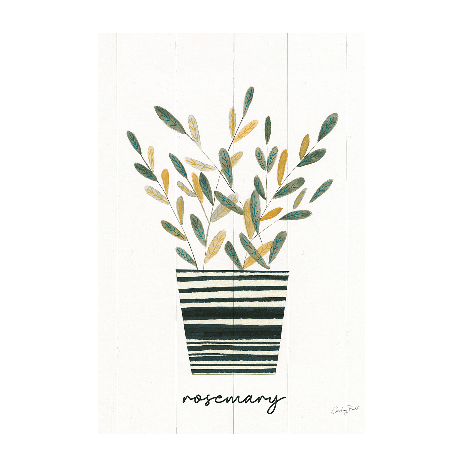 wall-art-print-canvas-poster-framed-Rosemary Herb Garden Style A & Basil Herb Garden Style B, Set Of 2 , By Courtney Prahl-8