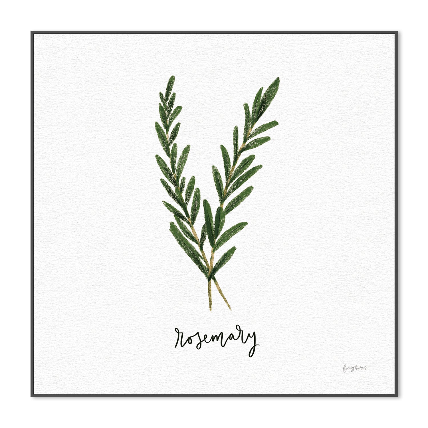 wall-art-print-canvas-poster-framed-Rosemary Herbs White, Style B , By Becky Thorns-3