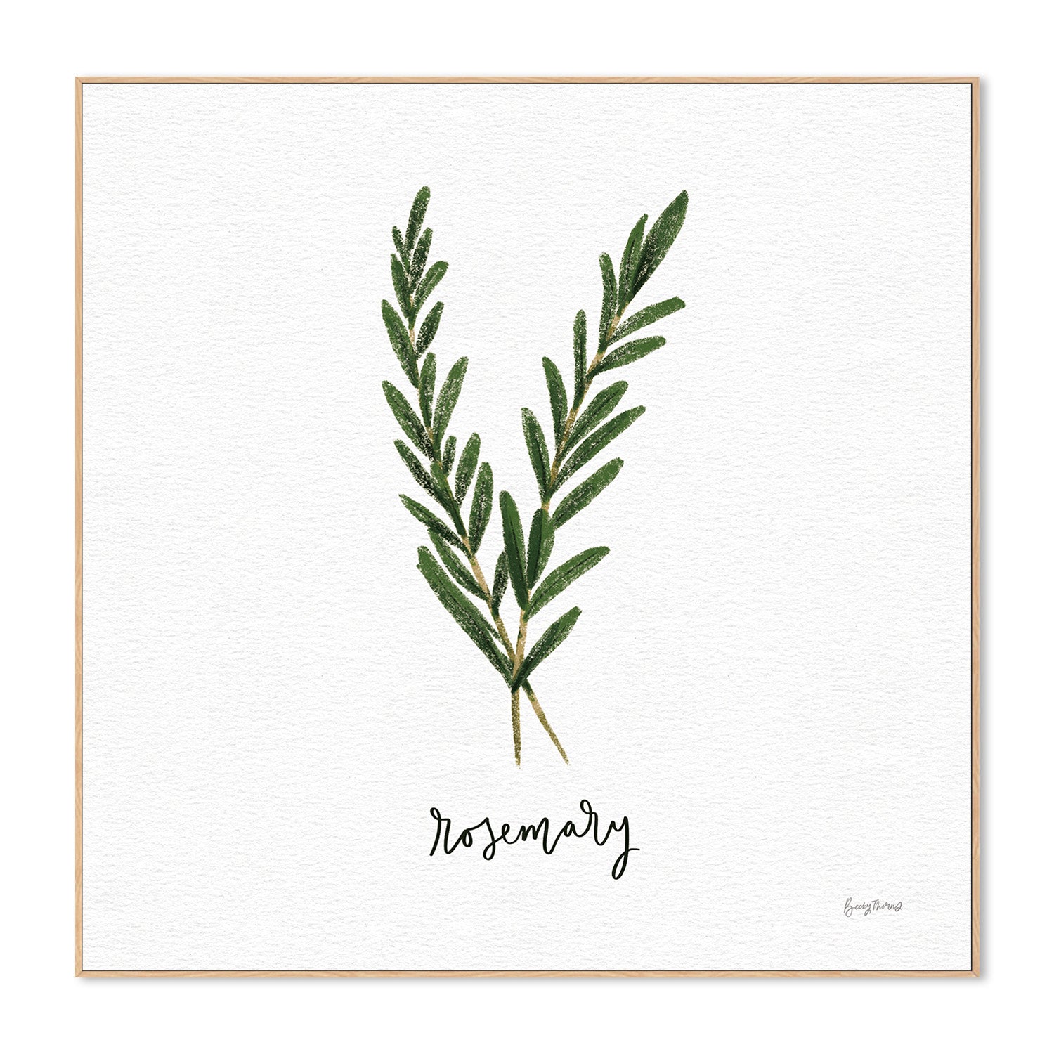 wall-art-print-canvas-poster-framed-Rosemary Herbs White, Style B , By Becky Thorns-4