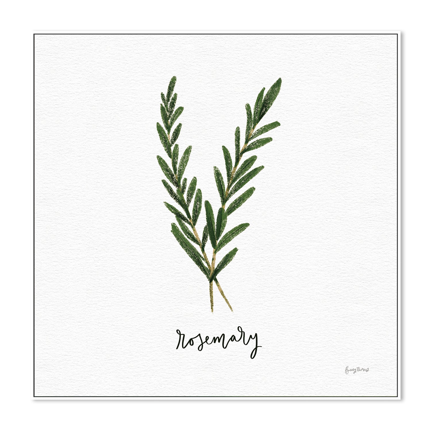 wall-art-print-canvas-poster-framed-Rosemary Herbs White, Style B , By Becky Thorns-5