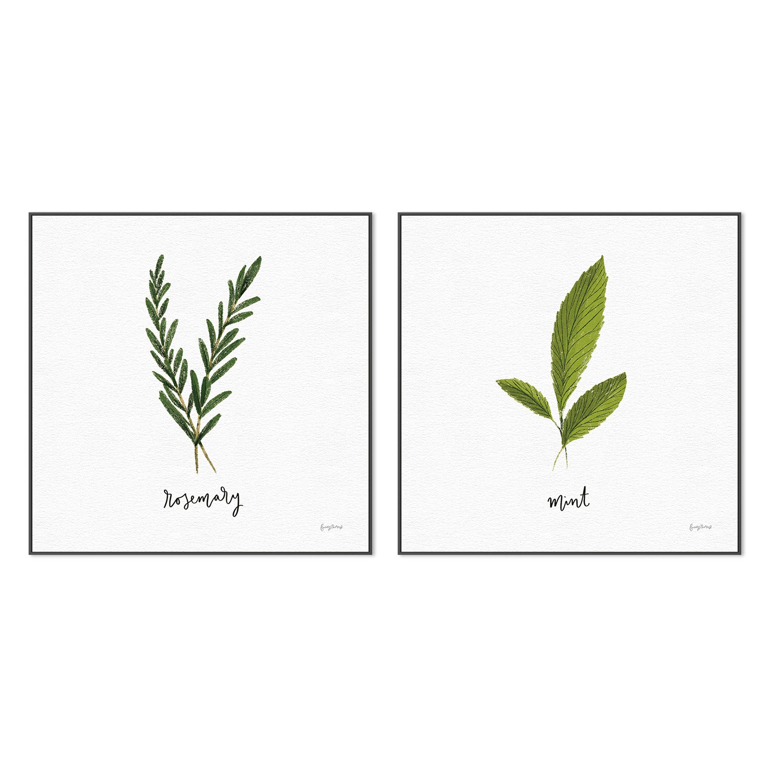 wall-art-print-canvas-poster-framed-Rosemary Herbs White Style B & Mint Herbs White Style F, Set Of 2 , By Becky Thorns-3