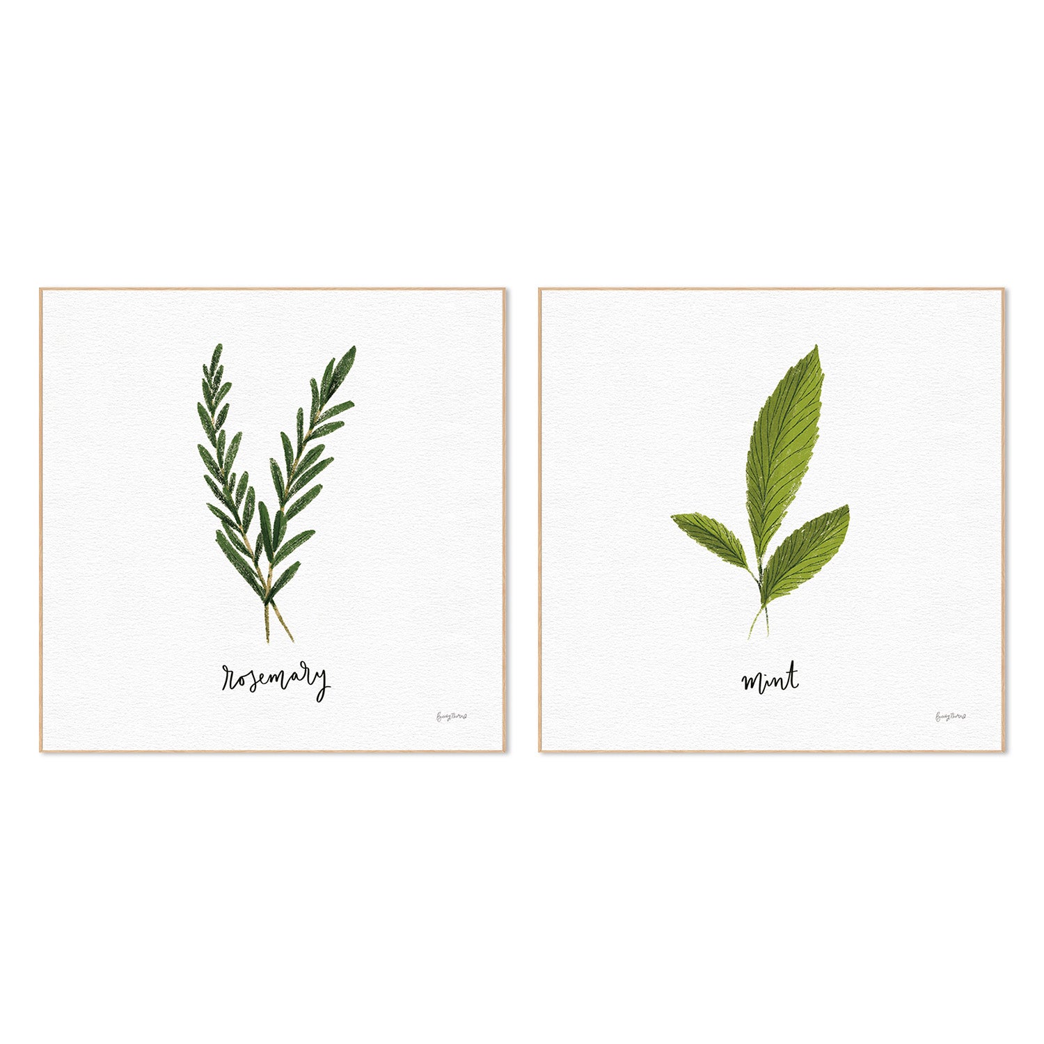 wall-art-print-canvas-poster-framed-Rosemary Herbs White Style B & Mint Herbs White Style F, Set Of 2 , By Becky Thorns-4