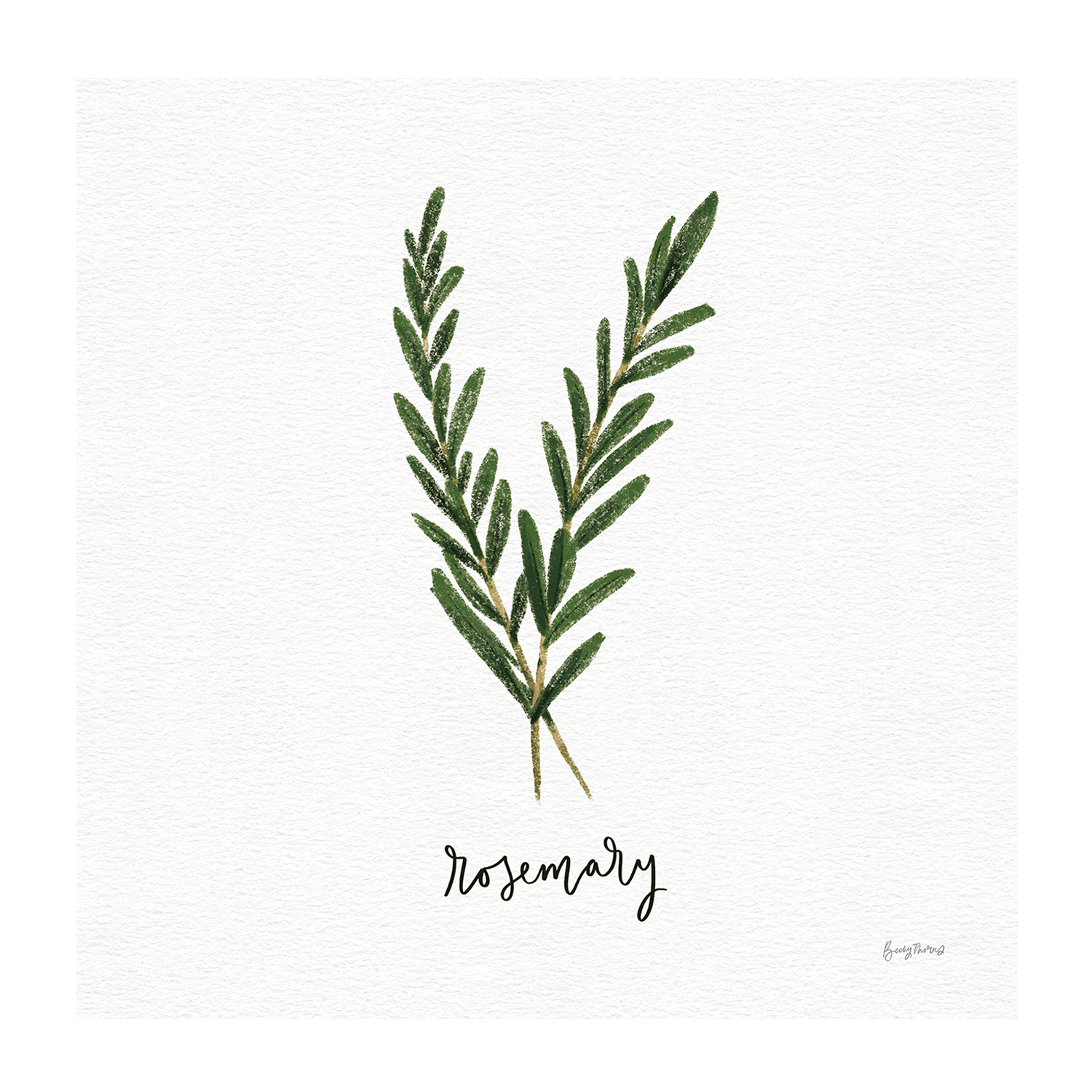 wall-art-print-canvas-poster-framed-Rosemary Herbs White Style B & Mint Herbs White Style F, Set Of 2 , By Becky Thorns-8
