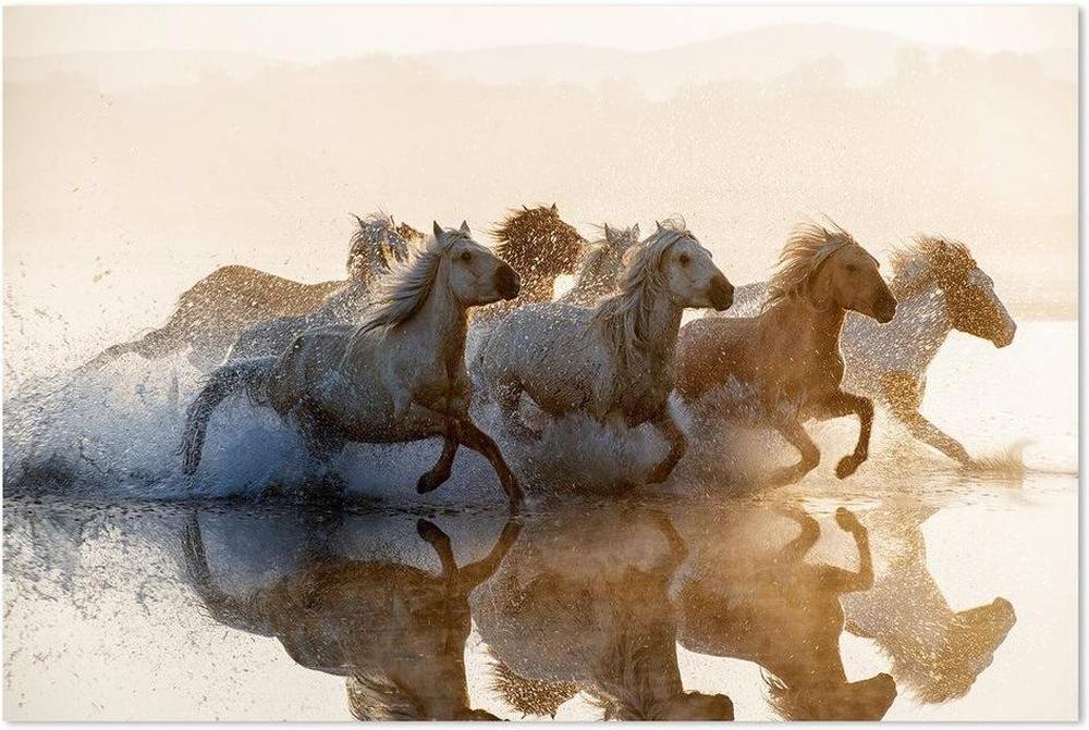 wall-art-print-canvas-poster-framed-Running Horses-by-Plus X Studio-Gioia Wall Art